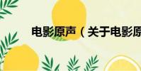 电影原声(关于电影原声的简介)