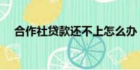 合作社贷款还不上怎么办(合作社贷款)