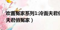 欢喜冤家系列1:冷面夫君俏冤家 小说(冷面夫君俏冤家)