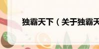 独霸天下(关于独霸天下的简介)