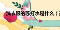 洗衣服的苏打水是什么(苏打水是什么)