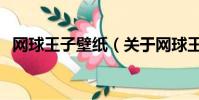 网球王子壁纸(关于网球王子壁纸的简介)