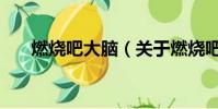 燃烧吧大脑(关于燃烧吧大脑的简介)