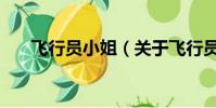 飞行员小姐(关于飞行员小姐的简介)