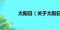 太阳日(关于太阳日的简介)