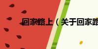 回家路上(关于回家路上的简介)