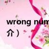 wrong number（关于wrong number的简介）