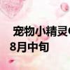  宠物小精灵GO宣布特别送礼活动一直持续到8月中旬