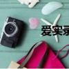 爱实录（关于爱实录的简介）