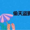 偷天盗影（关于偷天盗影的简介）