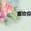 喜欢你 （关于喜欢你 的简介）