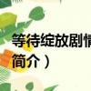 等待绽放剧情介绍（关于等待绽放剧情介绍的简介）