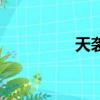 天袭（关于天袭的简介）
