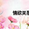 情欲关系（关于情欲关系的简介）