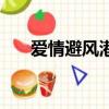 爱情避风港（关于爱情避风港的简介）