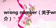 wrong number(关于wrong number的简介)