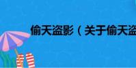 偷天盗影(关于偷天盗影的简介)
