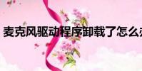 麦克风驱动程序卸载了怎么办(麦克风驱动)