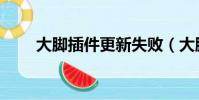 大脚插件更新失败(大脚更新失败)