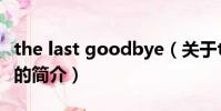 the last goodbye(关于the last goodbye的简介)