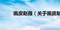 画皮赵薇(关于画皮赵薇的简介)
