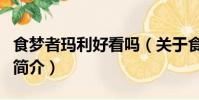 食梦者玛利好看吗(关于食梦者玛利好看吗的简介)