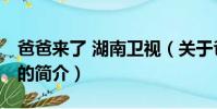 爸爸来了 湖南卫视(关于爸爸来了 湖南卫视的简介)