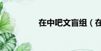 在中吧文盲组(在中吧)