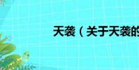 天袭(关于天袭的简介)