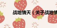 战地情天(关于战地情天的简介)