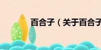 百合子(关于百合子的简介)