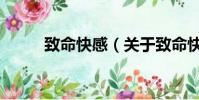 致命快感(关于致命快感的简介)