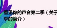 看见你的声音第二季(关于看见你的声音第二季的简介)
