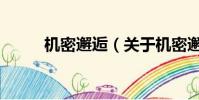 机密邂逅(关于机密邂逅的简介)