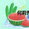 何莉秀（关于何莉秀的简介）