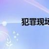 犯罪现场（关于犯罪现场的简介）