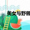 美女与野兽 （关于美女与野兽 的简介）