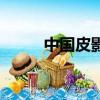 中国皮影（关于中国皮影的简介）