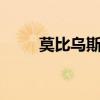 莫比乌斯 （关于莫比乌斯 的简介）