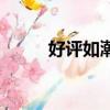 好评如潮（关于好评如潮的简介）