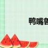 鸭嘴兽（关于鸭嘴兽的简介）