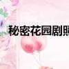 秘密花园剧照（关于秘密花园剧照的简介）