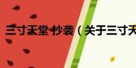 三寸天堂 抄袭(关于三寸天堂 抄袭的简介)
