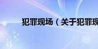 犯罪现场(关于犯罪现场的简介)