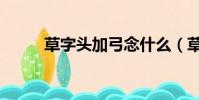 草字头加弓念什么(草字头加弓)