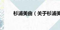 杉浦美由(关于杉浦美由的简介)