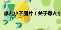 爆丸小子图片(关于爆丸小子图片的简介)