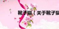 靴子猫(关于靴子猫的简介)
