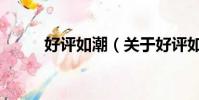 好评如潮(关于好评如潮的简介)
