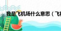我是飞机场什么意思(飞机场什么意思)